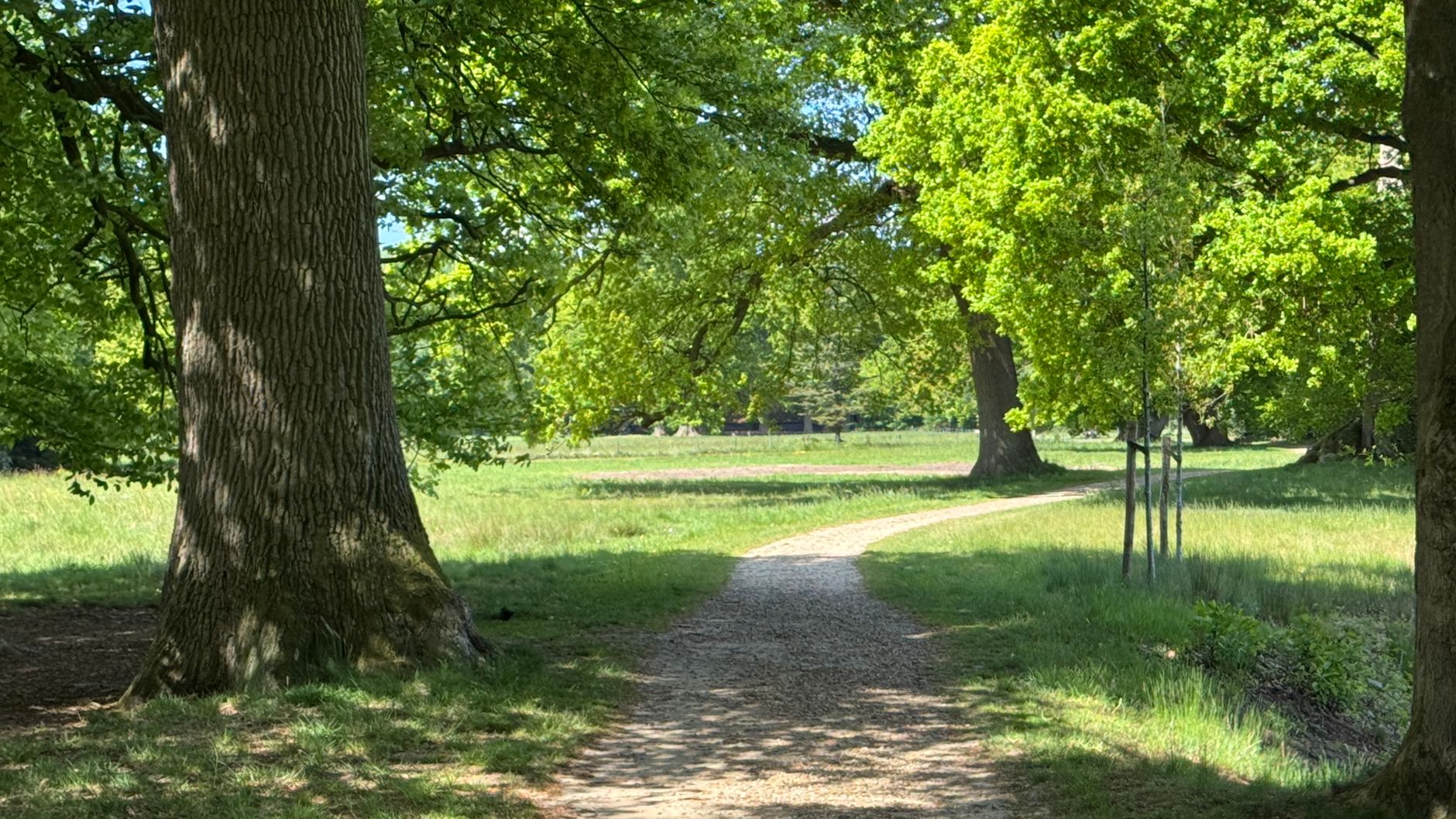 Lutte contre les nuisibles à Champigny-sur-Marne